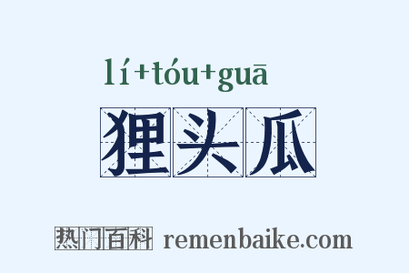 狸头瓜是什么意思的图片
